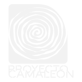 Proyecto Camaleón
